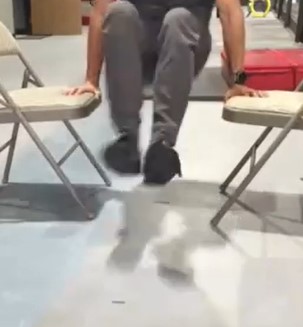“2-Chair Leg Swings”